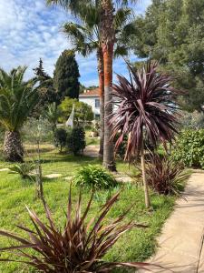 Le poisson qui recule - Maison et piscine dans parc arboré proche mer