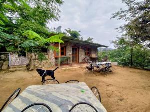 Dude Ranch