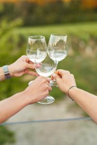 Wine Residence Kerman - Wine and Wellness Retreat in Sveti Urban