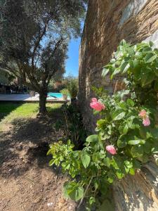 Maisons de vacances A Casetta Di Oletta : photos des chambres