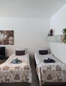 Studio Apartment 31m2