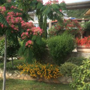 Семейный комплекс для отдыха