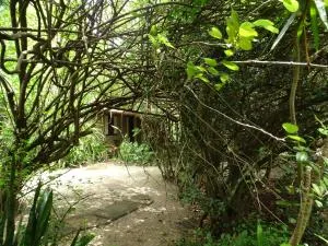 Jungle House - 圣米格尔-杜戈斯托苏