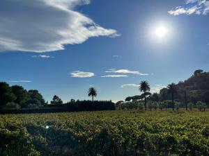 Maisons de vacances La Villa Cavalaire : photos des chambres