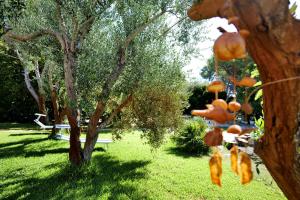 Missipezza Residence a Frassanito