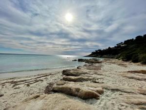 Maisons de vacances La Villa Cavalaire : photos des chambres