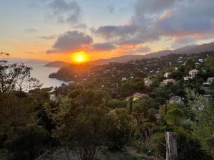 Maisons de vacances La Villa Cavalaire : photos des chambres