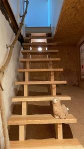 Appartements Au grenier du loup bleu : photos des chambres