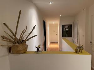 Appartements Au grenier du loup bleu : photos des chambres