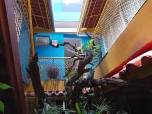 Angel Locação de Quartos - 巴西利亚