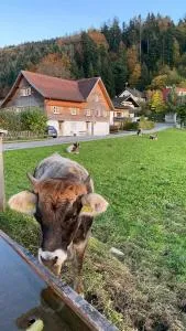 Willkommen im Rustico - Deinem Rückzugsort zwischen Bergen und Bodensee - Bildstein