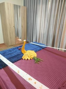 هاند فيلا السخنة