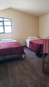 Pacífico Jaguar Antigua