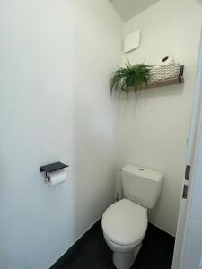Appartements Elegance et confort-vue sur la cathedrale - Parking : photos des chambres