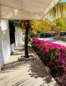 Sorrento Vallarta Apartments