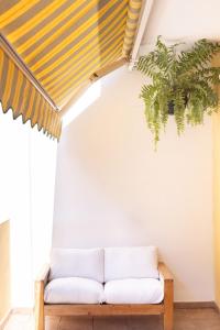 Jardin del Mar Apartment