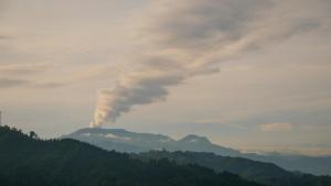 Tominejo Ecolodge - Casas en los árboles