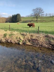 Ap78 Nature Ardennes Economy class apartment