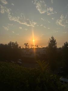 DAR TITRIT Charming house with garden and pool