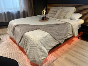 Grand studio centre ville tout équipé jacuzzi parking gratuit