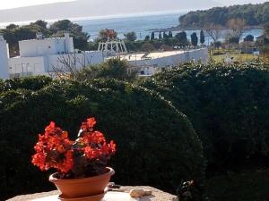 Holiday apartment in Punat with swimming pool