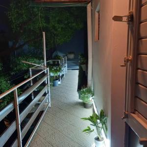 Apartments with a parking space Biograd na Moru, Biograd - 24023