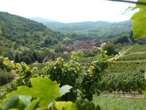 Maisons de vacances Schiefferberg : photos des chambres