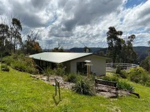 Mountain Tranquility - Berambing