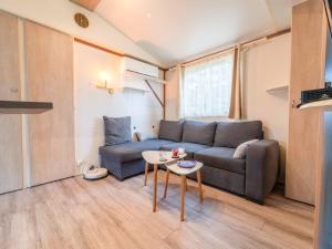 Maisons de vacances Mobil-home 2 chambres avec climatisation, terrasse et piscine a Mimizan - FR-1-50-162 : photos des chambres