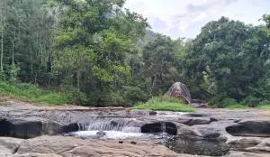 King of jungle retreat bungalow - Palni