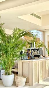 Ghaf Pool Villas