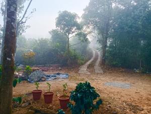 Tharayil farm stay