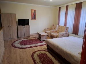 Double or Twin Room with Private Bathroom room in Pensiunea Rose