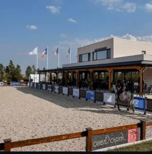 Black Sea Horses - Valu lui Traian