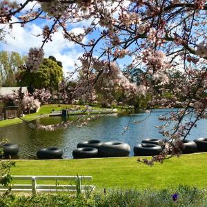 Fontys Pool Caravan Park and Chalets