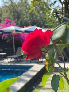 hotel quinta real las palmas malinalco - Malinalco