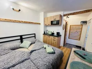 Apartmán v klidné části Benešova - 贝内绍夫