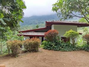 Omashi sinharaja holiday resort