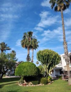 Taray Flamingo Beach 2