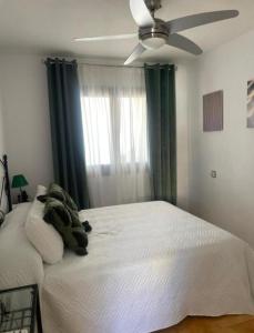 Taray Flamingo Beach 2