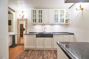 Penthouse with Terrace