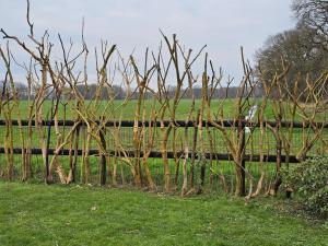 Wellnessloft A Winters Tale