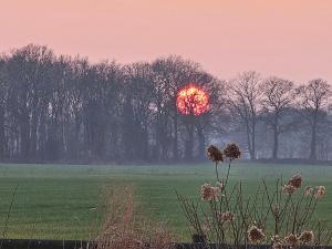 Wellnessloft A Winters Tale