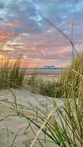 Appartements La Bulle Ensablee : photos des chambres