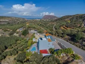 Olive Scent - Smárion