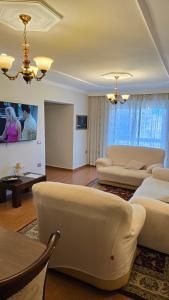 City OASIS in the Heart of Tirana