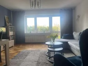 Dom na Zdrowiu - Skorka