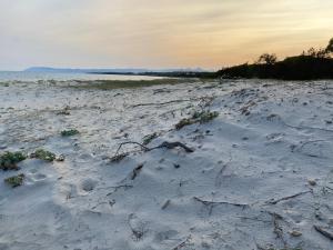 Massetti Rooms Alloggio per coppie sulla costa nord est dell isola a pochi passi dalla spiaggia