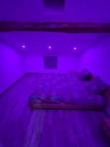 Appartements Apparemment vue sur Garonne : photos des chambres