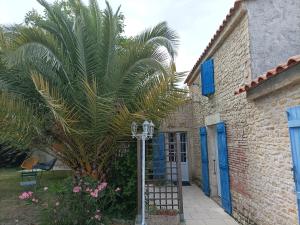 Appartements Gite Rock - La Note Bleue : photos des chambres
